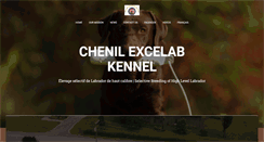 Desktop Screenshot of chenilexcelab.com